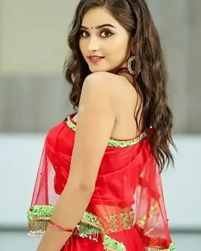 Call Girls Service Bhokardan